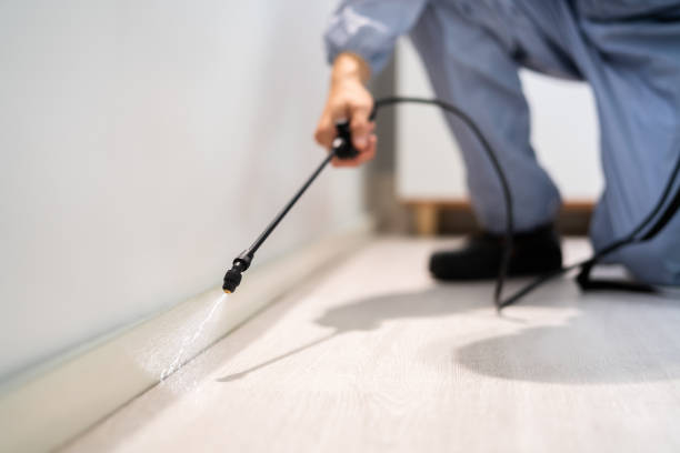 Certified termite inspector examining foundation in Brodhead