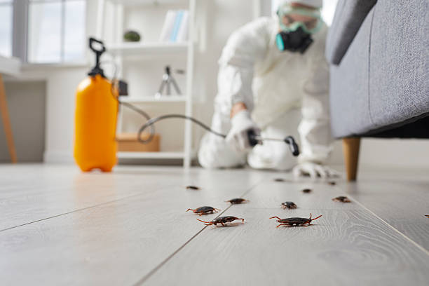 Commercial Kitchen Cockroach Control in Brodhead